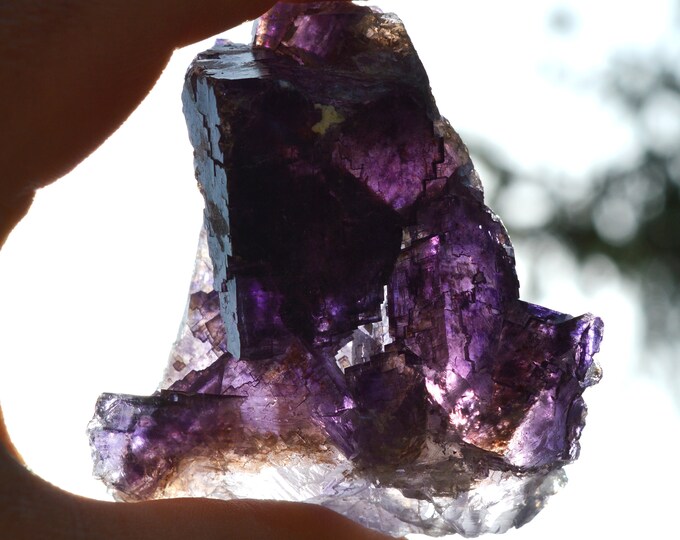 Fluorite 198 grams - Melchor Múzquiz, Múzquiz Municipality, Coahuila, Mexico