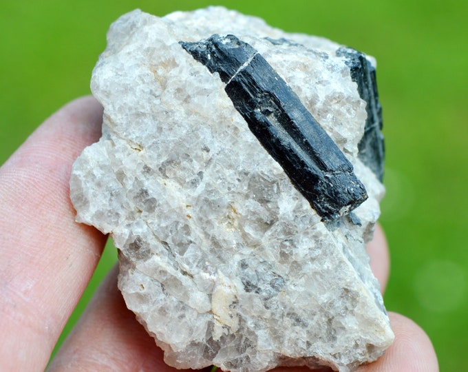 Tourmaline schorl & Quartz 112 grams - Beauchaud pegmatite, Saint-Pierre-la-Bourlhonne, Ambert, Puy-de-Dôme, Auvergne-Rhône-Alpes, France