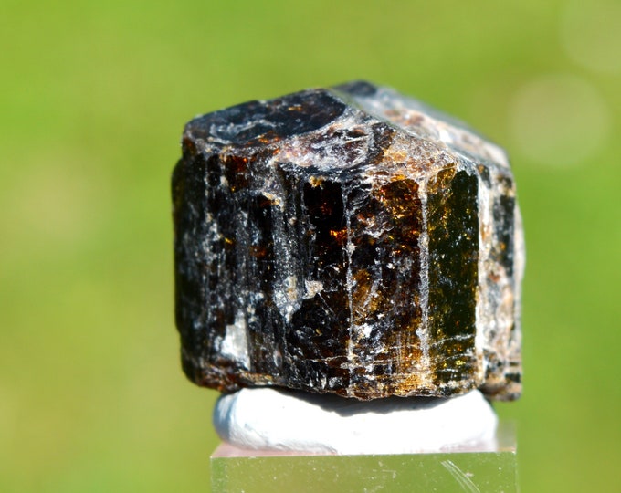 Tourmaline Var. Dravite - 25 grams - Pajaru, Jajarkot District, Karnali Pradesh, Nepal