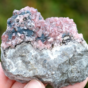 Può includere: Una roccia grigia ruvida con un gruppo di cristalli rosa sulla parte superiore. I cristalli sono piccoli e hanno un aspetto lucido e traslucido.