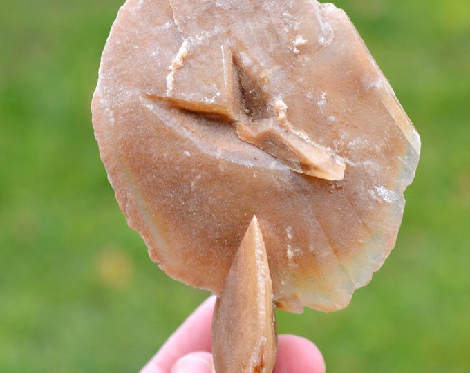 Gypsum var. Desert Rose 140 grams - Chott el Djerid, Tunisia