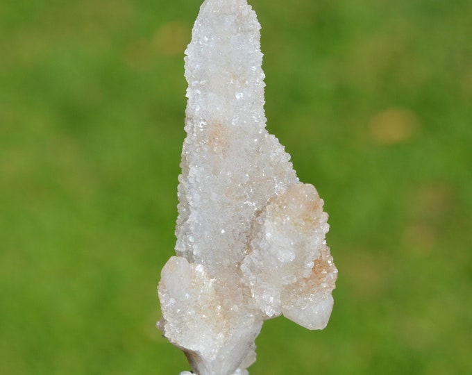 Cactus Amethyst 46 grams - Boekenhoutshoek area, Mkobola, Nkangala District, Mpumalanga, South Africa