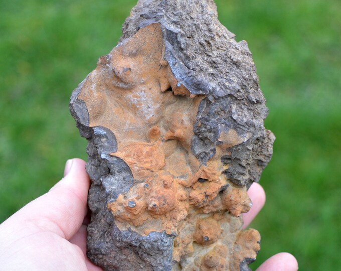 Goethite 919 grams - Le Ruchberg, Rimbach-près-Masevaux, Alsace, France