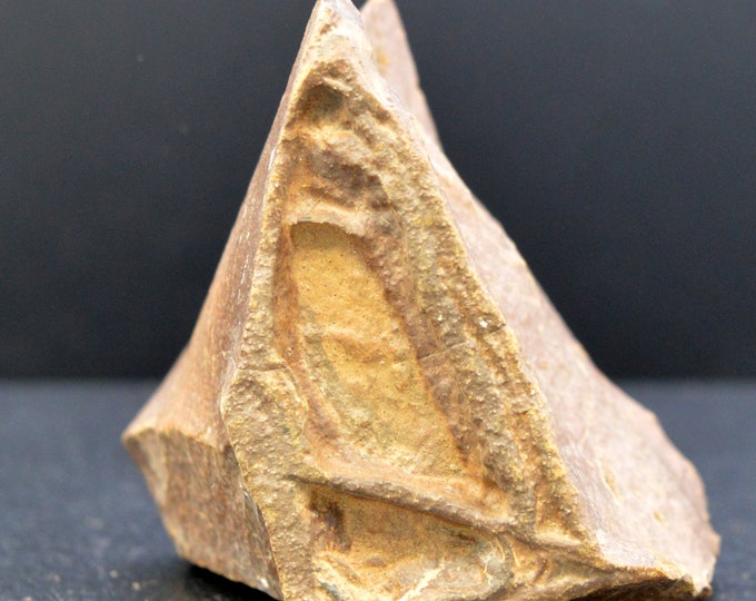 Tsesite 176 grams - Sahara, Algeria