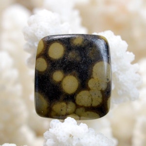 Scapolite dans mica - 25 carats - cabochon pierre naturelle - Inde // BS30