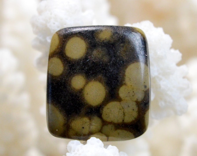 Scapolite in mica - 25 carats - natural stone cabochon - India // BS30