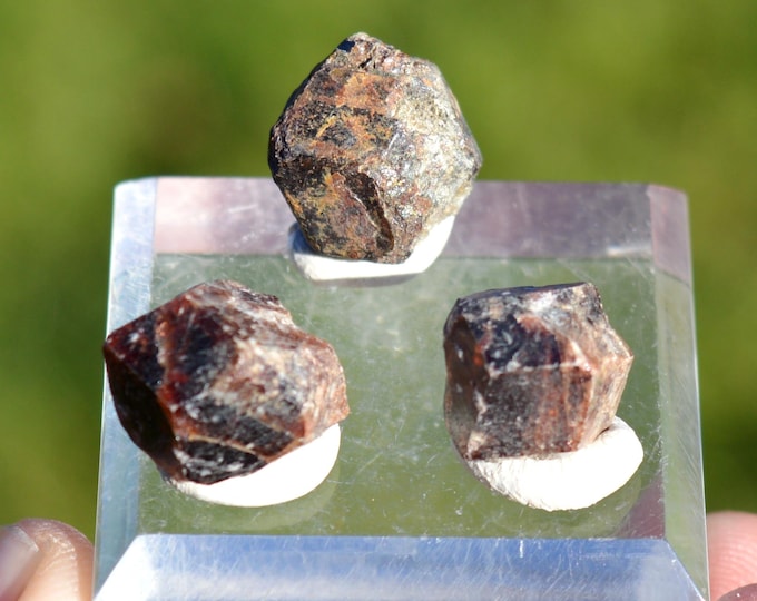 Lot 3x Garnet var. Andradite 14 grams - Ansignan, Prades, Pyrénées-Orientales, Occitanie, France