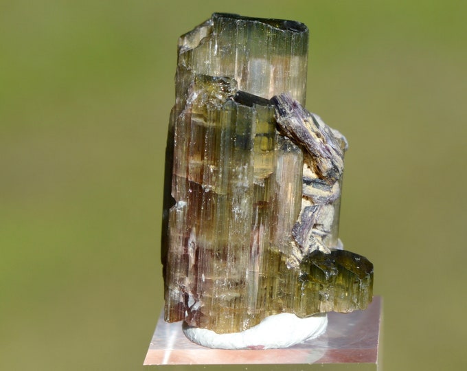 Tourmaline var. Elbaite "Watermelon" 8.8 grams - Cruzeiro mine, São José da Safira, Minas Gerais, Brazil