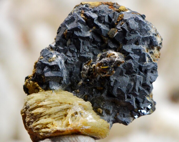 Galena & Baryte 29 grams - Le Buisson Mine, Montmirat, Saint-Étienne-du-Valdonnez, Mende, Lozère, Occitanie, France