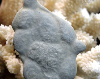 Fairy Stone - 69.6 grams - Harricana River, Quebec, Canada