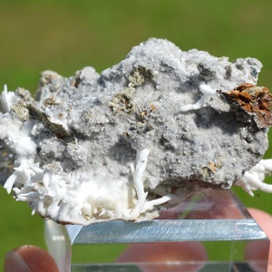 Aragonite "Flos Ferri" 64 grams - Green Fir Mine, Altenberg, Ste Marie-aux-Mines, Colmar-Ribeauvillé, Haut-Rhin, Alsace, France