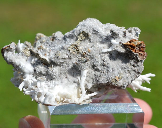 Aragonite "Flos Ferri" 64 grams - Green Fir Mine, Altenberg, Ste Marie-aux-Mines, Colmar-Ribeauvillé, Haut-Rhin, Alsace, France