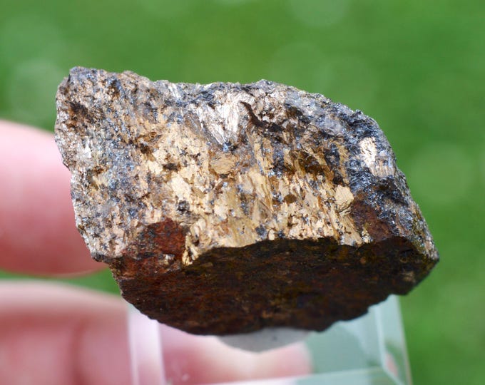 Enstatite var. Bronzite 41 grams - Mangabal I intrusion, Sanclerlândia, Goiás, Brazil