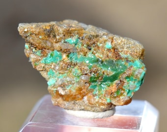 Variscite 9 grams - Palazuelo de las Cuevas, San Vicente de la Cabeza, Zamora, Castile and Leon, Spain