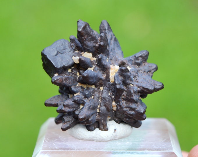 Goethite pseudomorphose after Marcasite - 24 grams - White Desert, Farafra Oasis, New Valley Governorate, Egypt