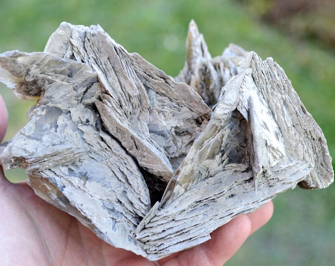 Gypsum var. Sand rose 1370 grams - Durban-Corbières, Narbonne, Aude, Occitanie, France