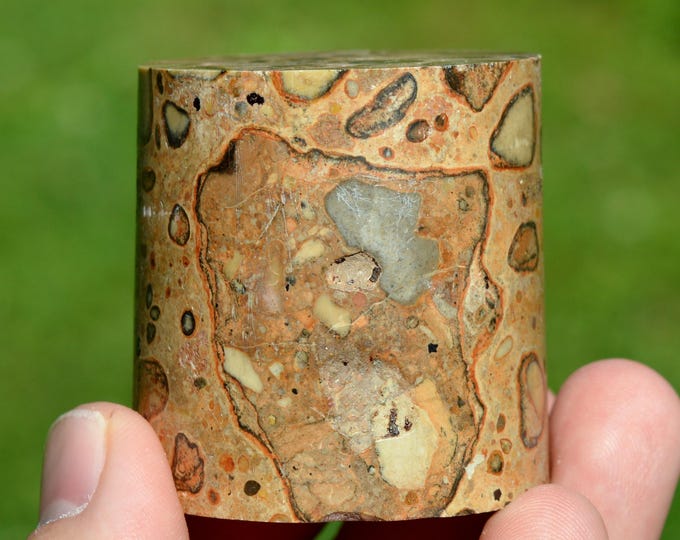 Leopard Jasper 198 grams - Mexico