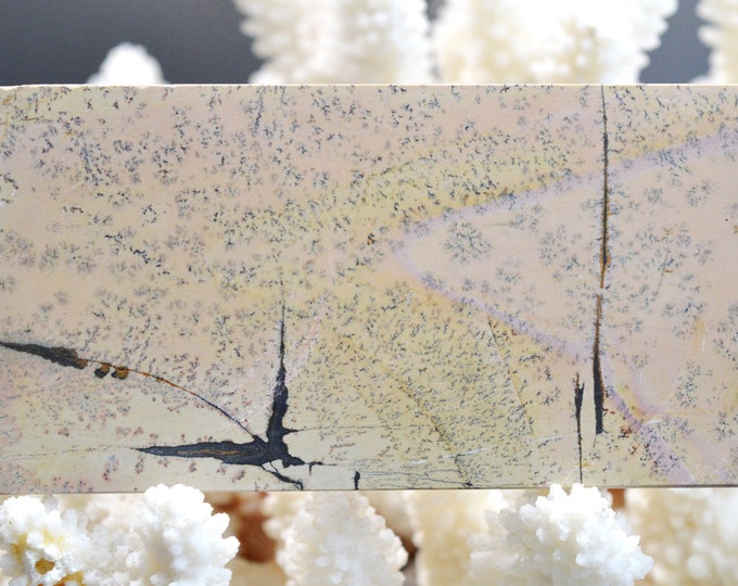 Polished Slice - Landscape Stone 109 mm - Guilin, Guangxi, China