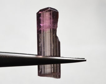 Natural terminated bicolor tourmaline 5.83 carats Natural terminated bicolor tourmaline