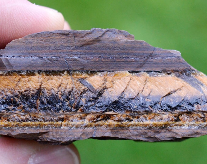 Tiger's Eye 154 grams - Prieska, Siyathemba, Pixley ka Seme, Northern Cape, South Africa