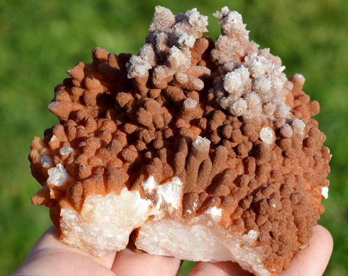 Aragonite 553 grams - Lamalou-les-Bains, Béziers, Hérault, Occitanie, France