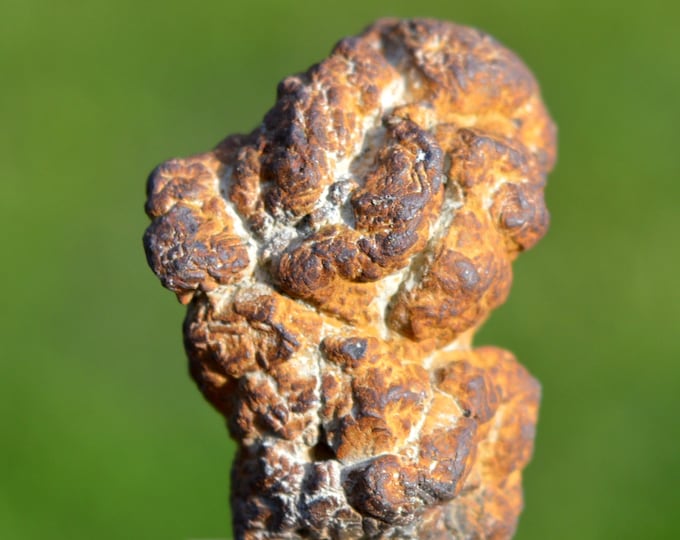 Marcasite and/or Pyrite 20 grams - Cap Blanc-Nez, Escalles, Calais, Pas-de-Calais, Hauts-de-France, France