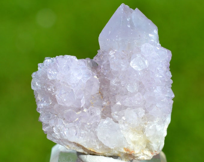 Cactus Amethyst 68 grams - Boekenhoutshoek area, Mkobola, Nkangala District, Mpumalanga, South Africa