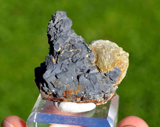 Baryte & Galena 124 grams - Le Buisson Mine, Montmirat, Saint-Étienne-du-Valdonnez, Mende, Lozère, Occitanie, France
