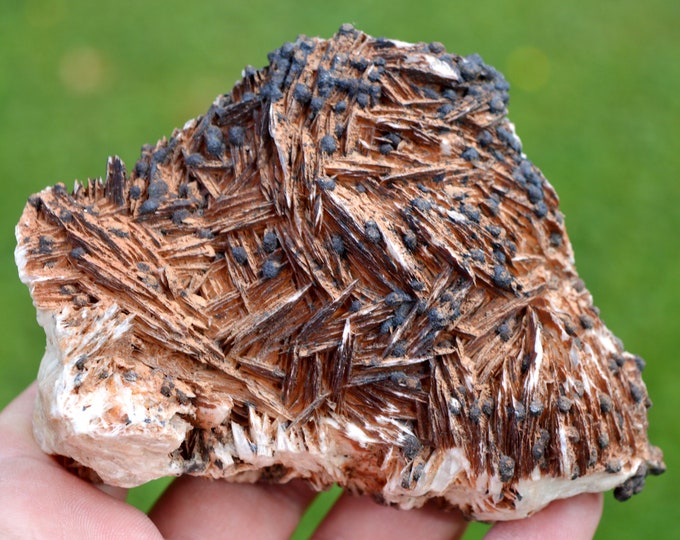 Baryte & Goethite 622 grams - Morocco