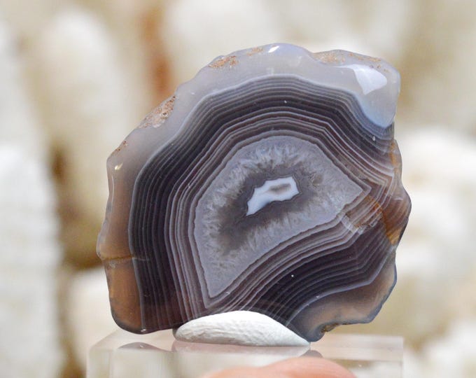 Agate 9 grams - Bobonong Subdistrict, Central District, Botswana - FT30