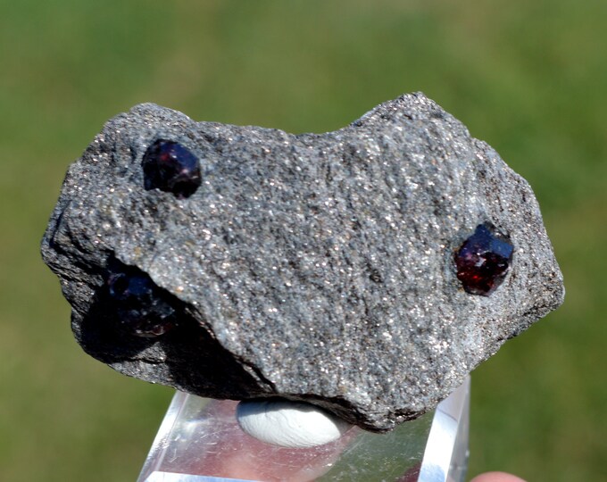 Garnet var. Almandin & Micashiste 95 grams - Bella Vista Mine, Mitkof Island, Petersburg Borough, Alaska, USA