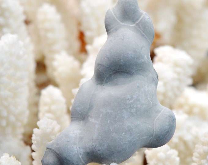 Fairy Stone - 20 grams - Harricana River, Quebec, Canada