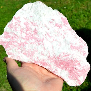 May include: A hand holds a large, irregularly shaped rock. The rock is primarily white with striking pink veining and patches throughout. The texture appears rough and natural, with a slightly uneven surface. The background is blurred green grass.
