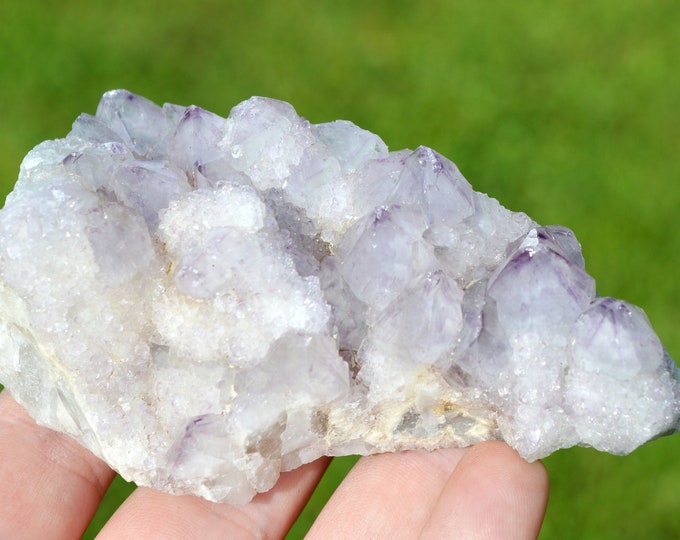 Amethyst cactus 285 grams - Boekenhoutshoek area, Mkobola, Nkangala District, Mpumalanga, South Africa