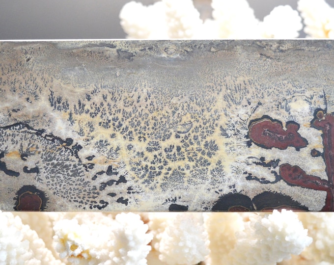 Polished Slice - Landscape Stone 163 mm - Guilin, Guangxi, China