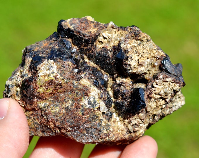 Garnet var. Andradite & Magnetite Scapolite 296 grams - Feilluns, Prades, Pyrénées-Orientales, Occitanie, France