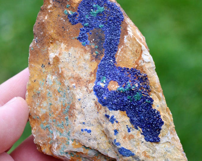Azurite & Malachite "Hippocampe" 261 grams - Bou Beker, Touissit-Bou Beker mining district, Jerada Province, Oriental Region, Morocco
