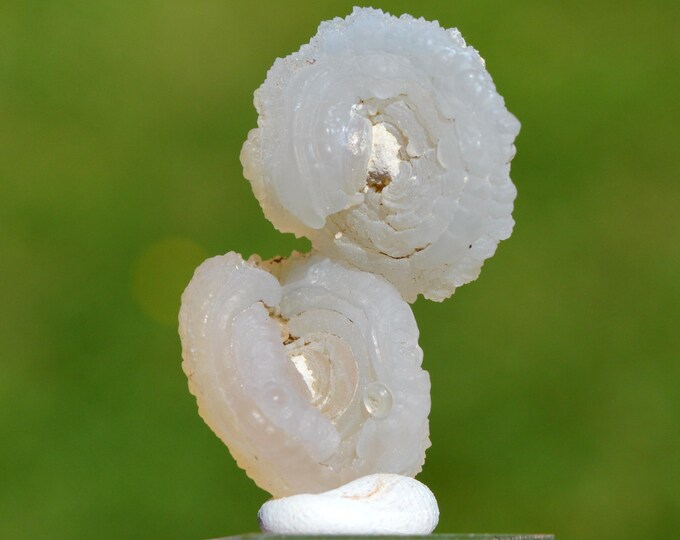 Guttular Chalcedony 6.7 grams - Aulon, Saint-Gaudens, Haute-Garonne, Occitanie, France