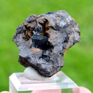 May include: A dark gray rock with a cavity containing a black crystal. The rock is on a white display stand.