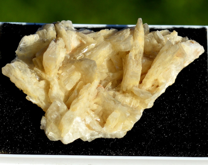 Baryte 33 grams - Marsanges Mine, Marsanges, Langeac, Brioude, Haute-Loire, Auvergne-Rhône-Alpes, France