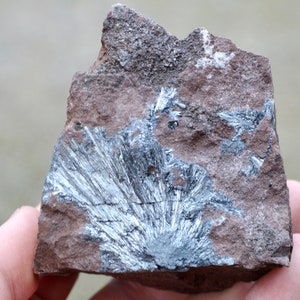 May include: A rough-hewn, reddish-brown rock specimen with a striking display of radiating, silvery-gray mineral formations. The metallic-looking crystals fan out across the stone, creating a visually interesting contrast. The rock is held in a hand.