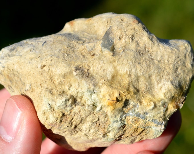 Actinolite 119 grams - Chammegg, Guttannen, Interlaken-Oberhasli, Bern, Switzerland