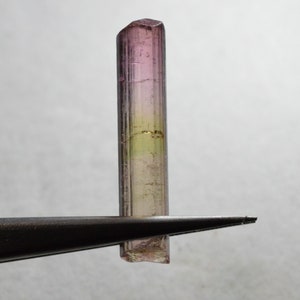 Tourmaline bicolore terminée 7,99 carats  Natural terminated bicolor tourmaline