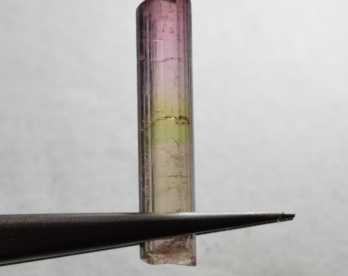 Terminated bicolor tourmaline 7.99 carats Natural terminated bicolor tourmaline