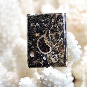 Agate turitelles 44 carats -  cabochon pierre naturelle - USA / EE96