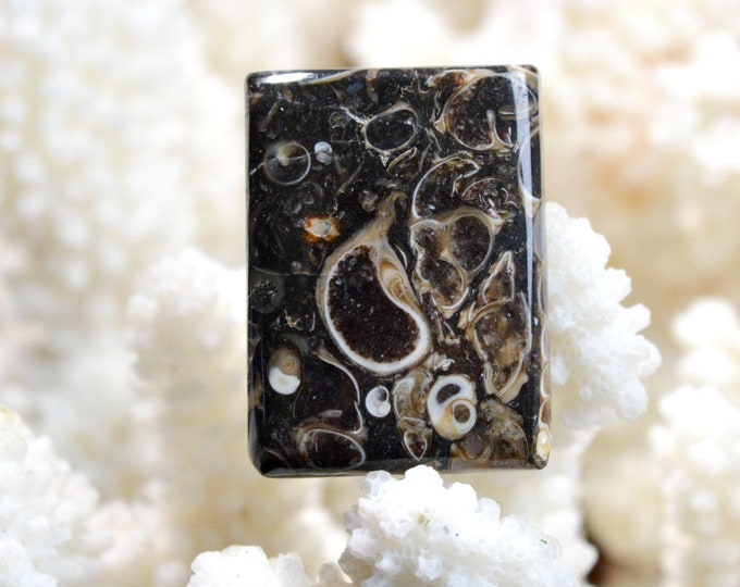 Turitella agate 44 carats - natural stone cabochon pendant - USA / EE96