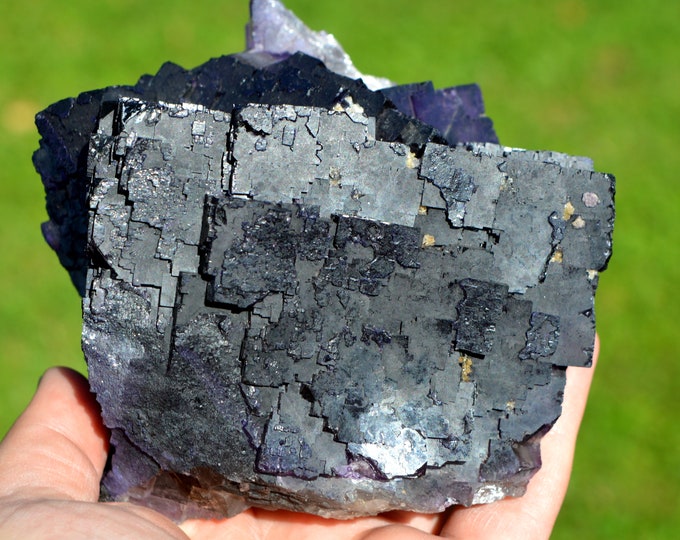 Fluorite 1660 grams - Melchor Múzquiz, Múzquiz Municipality, Coahuila, Mexico