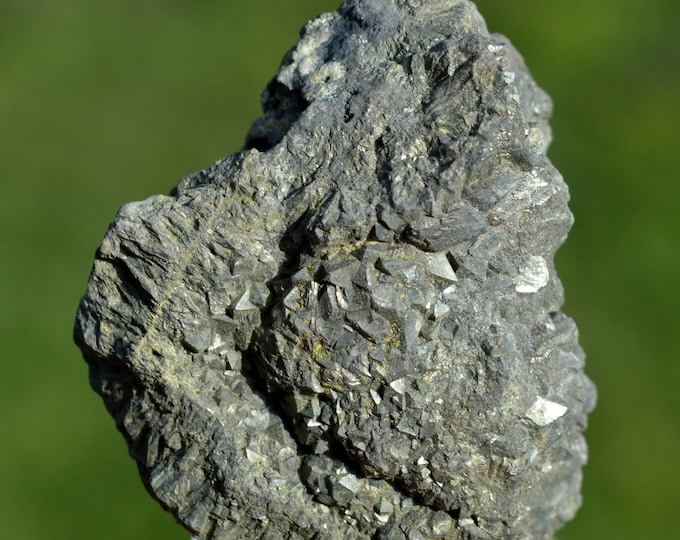 Marcasite 80 grams - Seilles, Andenne, Namur, Wallonia, Belgium