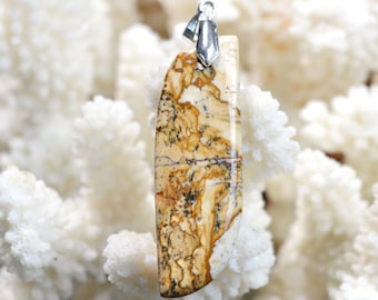 36-carat Landscape Jasper - natural stone cabochon pendant - Namibia / EH2