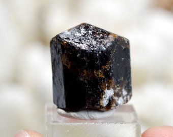 Tourmaline Var. Dravite - 10 grams - Pajaru, Jajarkot District, Karnali Pradesh, Nepal